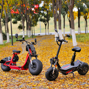 Cruiser xe máy 3000W citycoco nhà máy sản xuất EEC coc phê duyệt nơi để mua xe điện - Product Image 3