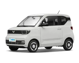 Saic-gm-wangguang MINI-EV רכב אנרגיה חדש ברכב חשמלי עם משלוח מהיר