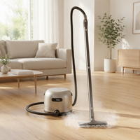 Nettoyeur Vapeur Électrique Portable Haute Pression pour Tapis et Tissus d'Ameublement, Élimination des Taches Profondes, Nettoyage de Tapis de Voiture