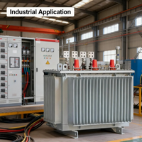 Transformateur de puissance triphasé immergé dans l'huile antirouille 200 kVA, bornes tout cuivre, directement de l'usine