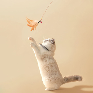 Feather <span class=keywords><strong>Cat</strong></span> Teaser Toy Stahldraht mit Bell - Elastic Rod Zähne Reinigung Interaktiver Haustier Zauberstab für Katzen - Product Image 6