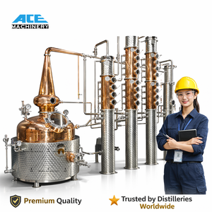 300L Whiskey Brandy Gin Tequila Rum Still With Distillation Tower, Alcohols Distiller Equipment for Sale - Product Image 2