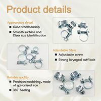 Kit d'assortiment de 34 colliers de serrage pour conduites d'injection de carburant, 5 tailles (8-18 mm), 1/4 ", 5/16 ", 3/8 ", pour applications automobiles