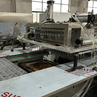 Machine de formage automatique de chocolat GUSU pour la production de barres chocolatées et de bonbons à base de noix