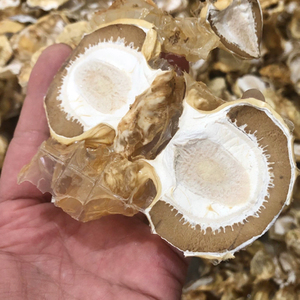 Jamur Dictyophora indusiata kering jamur bambu liar telur - Product Image 6