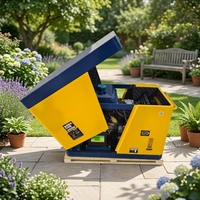 Générateur diesel refroidi par air Yumei, nouveau type, économie d'énergie, portable, silencieux, 50/60Hz, monophasé/triphasé, 5-8KW, ATS, 220V, 110V, 100%