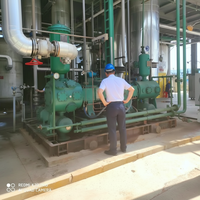 Compresseur à piston silencieux, refroidi à l'eau, alimenté en courant alternatif, sans huile, à azote/air, pour usage chimique, sur châssis, en vente
