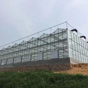 Invernadero <span class=keywords><strong>de</strong></span> <span class=keywords><strong>policarbonato</strong></span>, - Product Image 5