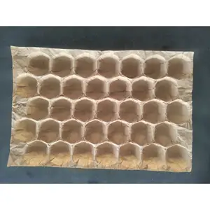 Food contact Moisture-proof biodegradable eco - friendly cavities craft paper fresh fruit peach tomato protecting insert tray