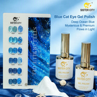 Ensemble de vernis à ongles en gel effet œil de chat professionnel, 12 couleurs, 15 ml, ensemble de manucure et de pédicure, kit d'art des ongles pour salon