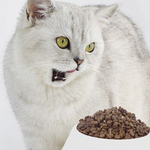 Großhandel hochwertige Haustier Leckereien und Lebensmittel <span class=keywords><strong>Top</strong></span> Selling High Protein Low Fat Natural Gesundes Eis frisch Getreide frei trockenes Katzenfutter - Product Image 3