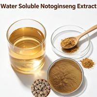 Fournitures d'usine : Extrait de Notoginseng Pur Naturel de Qualité Supérieure