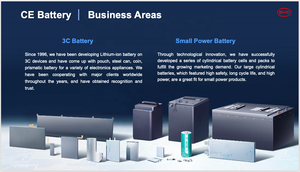 סוללת ליתיום-יון גלילית <span class=keywords><strong>2026</strong></span> BYD 46120P נטענת 3.2V 24.5Ah מקסימום 3C 2000 מחזורים LFP FC46120P לקורקינטים חשמליים ואופניים - Product Image 5
