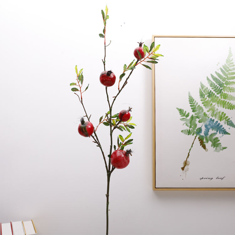 (5 ผลไม้) สีแดง