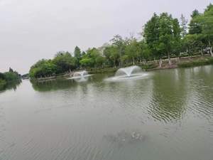 Aerador <span class=keywords><strong>Solar</strong></span> para Aquicultura, Aerador de Superfície Flutuante para Fonte de Oxigênio para Peixes - Product Image 6