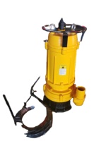 Pompes submersibles pour eaux usées LOONA 220v 380V WQ, haute pression, AC, robustes, 2 pouces, traitement des eaux usées, acier inoxydable