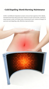 Capsule de sauna infrarouge lointain à commande tactile intelligente – Équipement de spa détoxifiant pour le corps entier, favorisant la sudation et l'amélioration de la santé globale en clinique et spa - Product Image 3