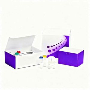 Autocollants promotionnels personnalisés pour dossiers, avec logo imprimé, pelliculage mat, gaufrage et adhésif, pour flacons - Product Image 2