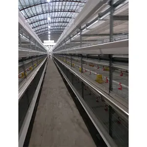 Hot sale H type layer chicken cage feeding 30 000 project customer choose