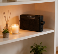Radio portable AM/FM de type pointeur, récepteur compact noir élégant avec antenne télescopique et poignée de transport