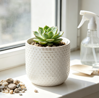 Pot de fleurs en céramique blanc mat à texture gaufrée en forme de points, cylindrique, pour plantes succulentes, décoration intérieure de bureau