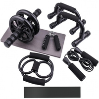 Kit d'entraînement complet à domicile : Rouleau abdominal et barres de pompes – Ensemble portable pour le renforcement du tronc