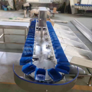 MYONLY Auto Olive Papaya Mariscos <span class=keywords><strong>Caracol</strong></span> Cangrejo <span class=keywords><strong>vivo</strong></span> Clasificación de peso Máquina Niveladora de frutas y verduras - Product Image 5