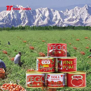 Pâte de tomate de première main provenant d'un fournisseur professionnel dans de l'étain en conserve sans additif