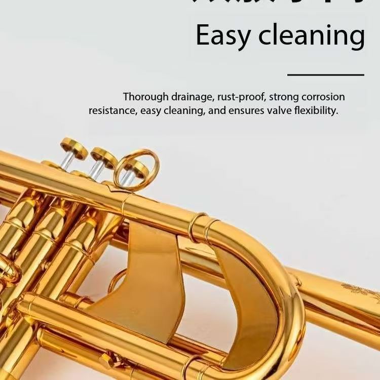 brass horn instruments