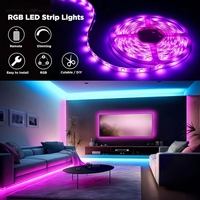 Grosir 10M 120LED 5V USB Smart RGB LED Ribbon SMD5050 24 Tombol Remote Bluetooth Kontrol Aplikasi Lotus Lampu Strip Fleksibel untuk Ruangan