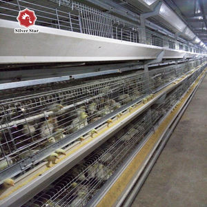 Capa <span class=keywords><strong>de</strong></span> pollo precio <span class=keywords><strong>de</strong></span> la jaula <span class=keywords><strong>de</strong></span> Filipinas - Product Image 4