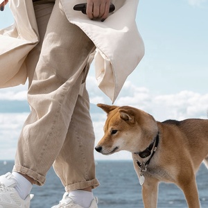 <span class=keywords><strong>Collar</strong></span> de Adiestramiento para Perros, Ecológico, de Plástico, Recargable, Paquete de 2, Personalizable al por Mayor - Product Image 6