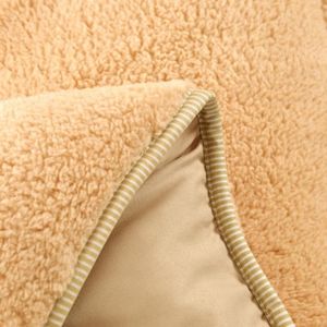 <span class=keywords><strong>Edredón</strong></span> de poliéster 100% personalizado de fábrica, colchas de <span class=keywords><strong>Sherpa</strong></span> cálidas para camas King Size, Invierno - Product Image 3