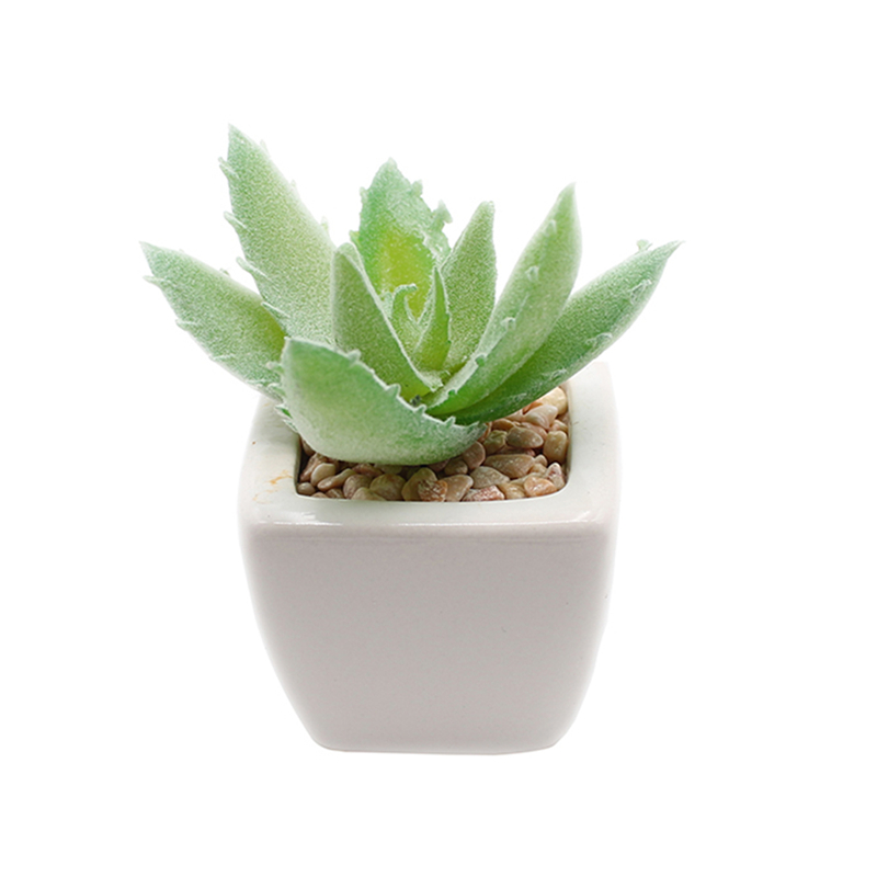 PA02-10   พีเอ02-10