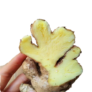 Gingembre Vieilli 25kg, Frais et Brut, Deux Gommes Jaunes de Gingembre et Curcuma en Forme de Cube, Cultivé à Domicile et Fraîchement Récolté en Chine Continentale pour la Cuisine - Product Image 3