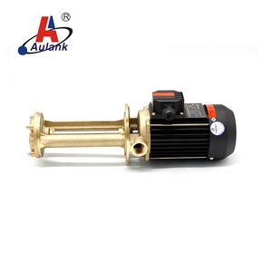 ปั๊มน้ำอุปกรณ์ต่อพ่วงคานแนวตั้งน้ำมันน้ำร้อนสูง - Product Image 5