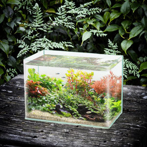 Acquario in Vetro Super Bianco di Lusso, Piccolo Acquario da Scrivania ad Angolo, Ecologico, <span class=keywords><strong>per</strong></span> <span class=keywords><strong>Tartarughe</strong></span>, <span class=keywords><strong>per</strong></span> Soggiorno, Acquario in Scatola - Product Image 3
