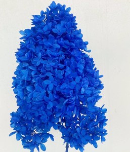 Commercio all'ingrosso Decorazione Conserve di Singoli Fiori di <span class=keywords><strong>Ortensia</strong></span> Legno <span class=keywords><strong>Ortensia</strong></span> Per La Decorazione Domestica - Product Image 5