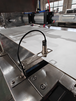Machine à biscuits aux pépites de chocolat haute efficacité de 1200 mm, ligne de production de pépites de chocolat, déposeuse de pépites de chocolat