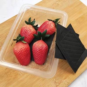 Food Grade Meat Absorbent Pads | Disposable Soaker Pads for <b>Fresh</b> Meat & Fish Packaging - Product Image 5