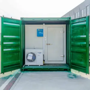 工业冷冻容器冰箱40英尺冷藏室超冷冻存储设备