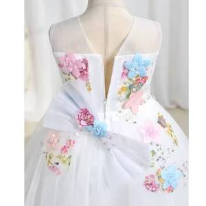 MS Floral Embroidered <b>Tulle</b> Flower Girl Dress, Princess Wedding Gown for Kids Performance Costume - Product Image 2