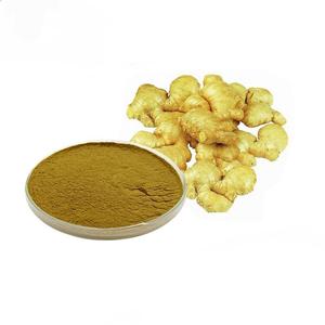 Gừng gốc Zingiber officinale chiết xuất <span class=keywords><strong>gingerols</strong></span> 1% 5% 10% <span class=keywords><strong>15</strong></span>% 20% bột - Product Image 4