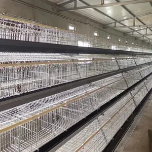 15000 ציפורים הזנה אוטומטית אינטליגנטי מותאם אישית עוף כלוב לפטם החווה