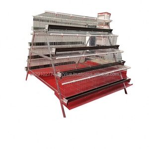 Équipement d'élevage avicole : Cage à batterie de type A pour poulets de ponte ou de chair, idéal pour l'élevage de volailles en ferme, modèle A - Product Image 2