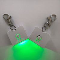 Couleur changeante Logo personnalisé Batterie rechargeable Acrylique LED Porte-clés Lumière avec câble USB