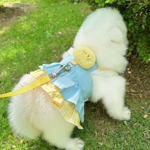 Robe de princesse pour chien, petite taille, pour Teddy, Bichon Frisé, Yorkshire Terrier, jupe respirante de printemps avec porte-chiot intégré - Product Image 4