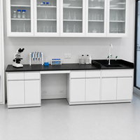 Table de laboratoire moderne en métal durable avec évier et armoire, 4 tiroirs, revêtement en poudre époxy, poste de travail en acier inoxydable pour laboratoire de chimie