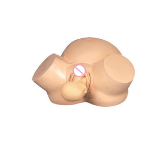 Simulador de Entrenamiento de Partería, Maniquí de Parto con Estructuras Humanas Detalladas para la Enseñanza a Mujeres Embarazadas (Material PVC) - Product Image 1