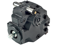 Lainuo H1P H1P045 H1P053 H1P060 H1P069 H1P078 Pompe Hydraulique H1-P-060-R-A-A-A5-C2-N-F5-H-F1-H6-L-35-L-35-F-P-24-PN-NNN-NNN